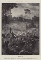 Die Benin-Expedition